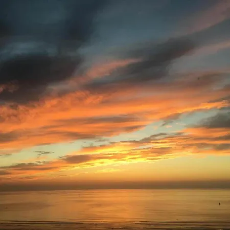 Appartement In Near Wellington Racecourse *