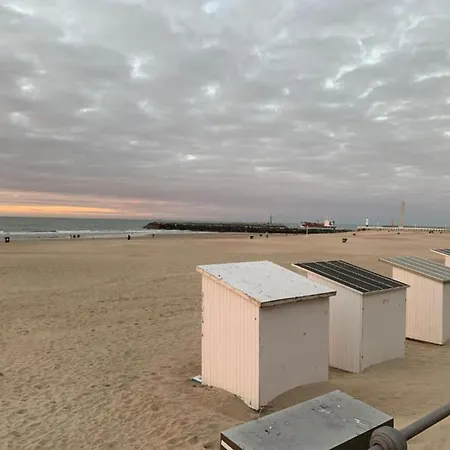 In Near Wellington Racecourse *