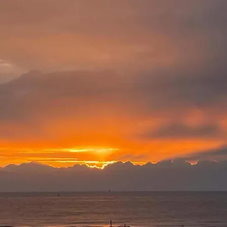 Appartement In Near Wellington Racecourse Oostende