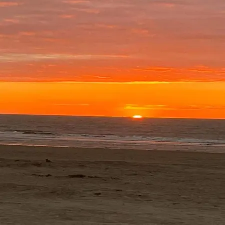 In Near Wellington Racecourse Apartment