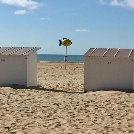 Appartement In Near Wellington Racecourse