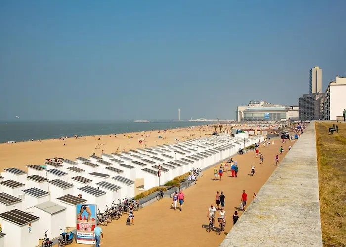 In Near Wellington Racecourse Oostende