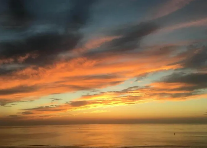 Appartement In Near Wellington Racecourse *