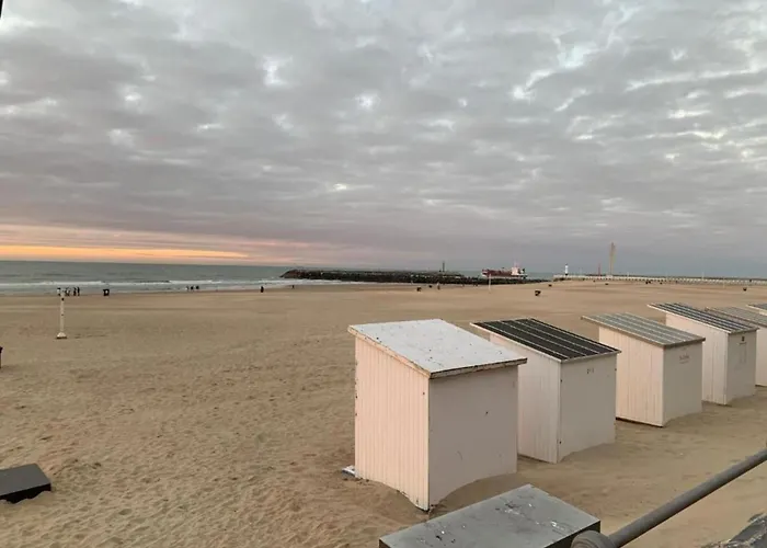 In Near Wellington Racecourse *