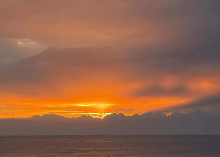 Appartement In Near Wellington Racecourse Oostende