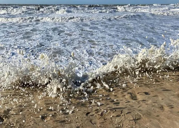 In Near Wellington Racecourse דירה *